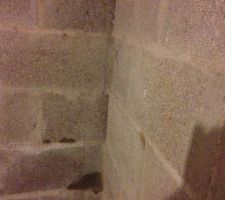 Infiltration sous sol