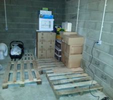Cartons