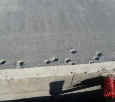 Waw !!! mon dieu saleté de chat