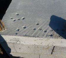 Waw !!! mon dieu saleté de chat