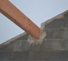 Pane de 25x10
