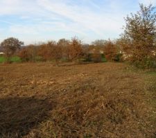 Nettoyage du terrain effectué par un professionnel