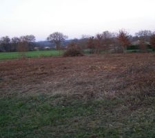 Début du nettoyage. 10 arbres sont élagués sur 27