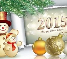 Bonne Année 2015 !