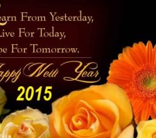 Happy New Year 2015 - Année de fin de notre chantier on espère !