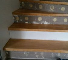 D&eacute;but habillage escalier