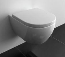 En remplacement du bidet de la salle de bain d'amis