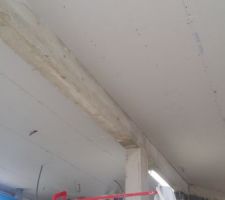 Plafond RDC