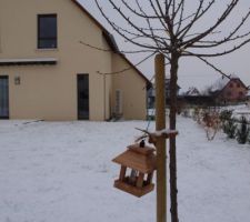 La salle à manger pour les oiseaux