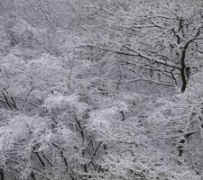 Décembre 2014