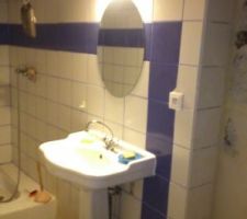 Salle de bain avec son lavabo de style rétro récupéré