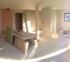 Vue panoramique du salon : en rose la plaque de protection M3 pour le conduit feu