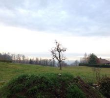 Vue de la chambre des parents, au rdc... Au fond, on distingue la mandallaz : chouette !