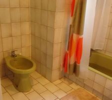 Remplacement du bidet par un WC