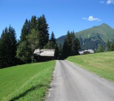 Vue d'ensemble du terrain et de la grange. Vous apercevez ici la petite route qui borde le terrain et la grange à rénover. Vous constaterez que le terrain est relativement en pente. Vous avez ici une vue de la façade Sud de la grange.