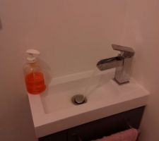 Lave main avec robinet cascade (il est trop beau mon robinet) au RDC