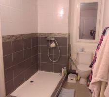 SDB manque plus que la paroi de douche et la peinture sur les murs et c'est bon