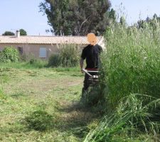 On débroussaille...