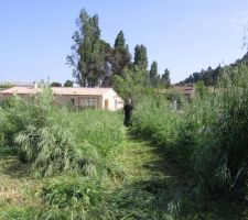 Vue de l'entrée vers le fond (le terrain s'arrête à 4 m de la construction du fond)