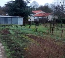 Le terrain. Brute, c'est un ancien jardin.