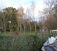 Suite du terrassement et Démolition : Vue sur le voisinage