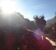 Depuis la terrasse cot&eacute; Sud