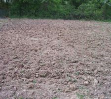 Passer un coup de griffe au tracteur