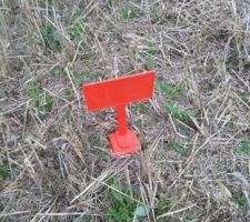 Bornage du terrain