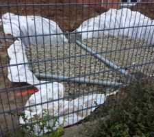 D&eacute;but de la zone d'infiltration