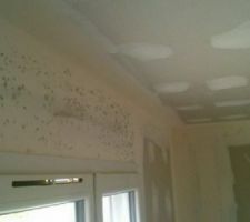 Moisissure dans une chambre...