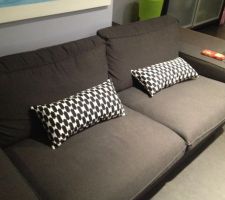 Nouveaux coussins Ikea.