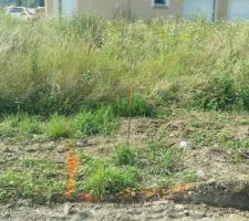 Marquage du terrain et délimitation de la maison