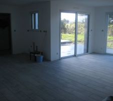 Carrelage pièce de vie.