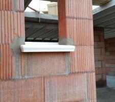 Appui de fenêtre des wc du RDC