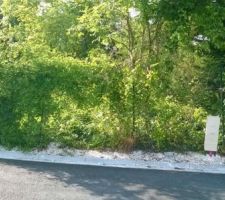 Terrain en &eacute;t&eacute;