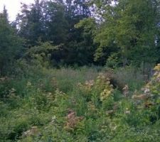 Terrain en &eacute;t&eacute;