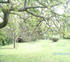 Le terrain vu du fond