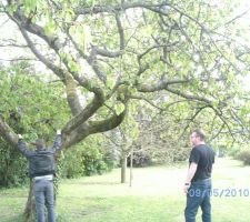 Toujours le terrain vu du fond