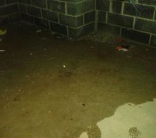 Remplissage de la piscine....
euh !!!! non, c'est la cave qui prend l'eau !!