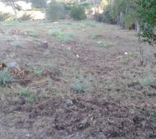 Une s&eacute;rie de photos de notre terrain