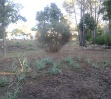 Une s&eacute;rie de photos de notre terrain