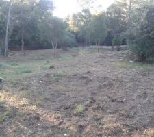 Une s&eacute;rie de photos de notre terrain