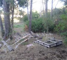 Une s&eacute;rie de photos de notre terrain