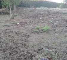 Une s&eacute;rie de photos de notre terrain