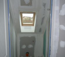 Bandes toilette
