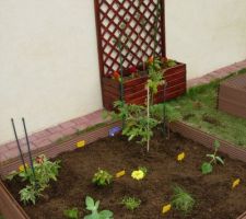 Potager en carré dans structure en bois composite