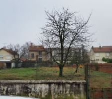 Le terrain sera divisé en 4 parcelles identiques de 6.68 de facade.
la maison fera donc de mon fils à ma fille lol