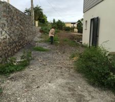 Avant passage de la pelle