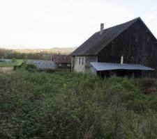 La vue, du bout du jardin. 50m de longueur... Hum.. Je sens déjà l'amusement quand il va falloir déblayer toute cette partie!