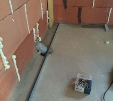 Mise en place des lisses   fourrures pour mur